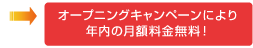 オープニングキャンペーンにより年内の月額料金無料!