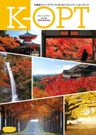 K-OPT�m�P�C�E�I�v�g�n