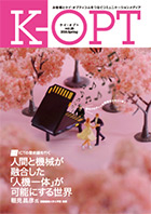 K-OPT�m�P�C�E�I�v�g�n