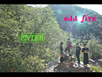 odd five